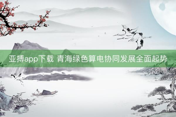 亚搏app下载 青海绿色算电协同发展全面起势