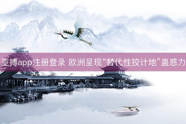 亚搏app注册登录 欧洲呈现“替代性狡计地”蛊惑力